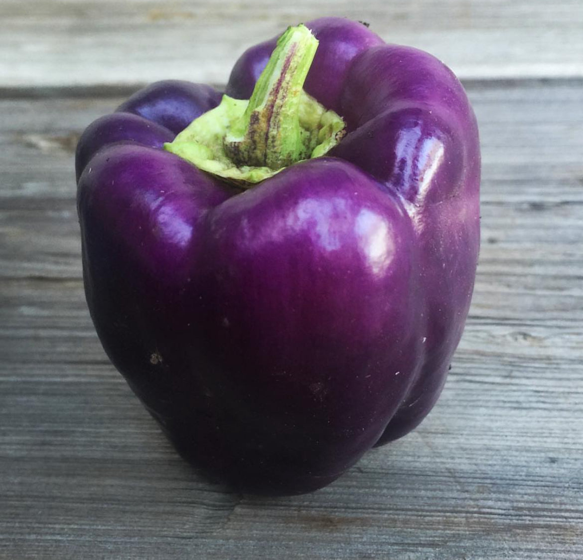 Lilac Sweet Bell Pepper Seeds