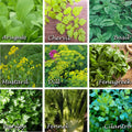 Edible Flower Mix Seeds