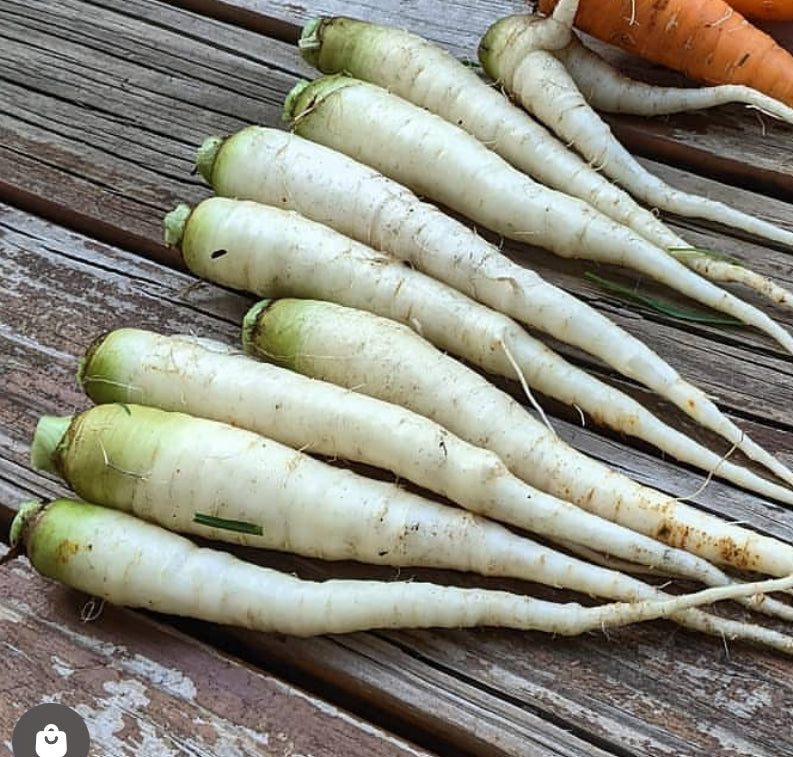 Lunar White Carrot  Seeds