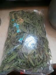 Manglier Half Pound