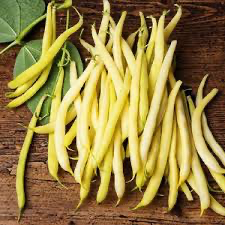 Top Notch Golden Wax Beans Seeds