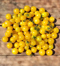 Gold Nugget Tomato Seeds
