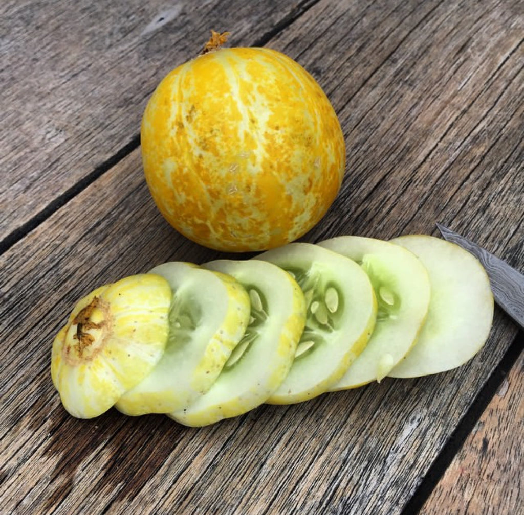 Lemon Cucumber Heirloom Cucumber Seeds