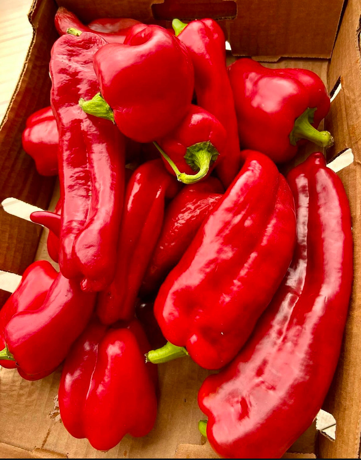 Marconi Red Pepper Organic Heirloom Seeds