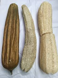 Luffa Organic-Chinese Okra Seeds