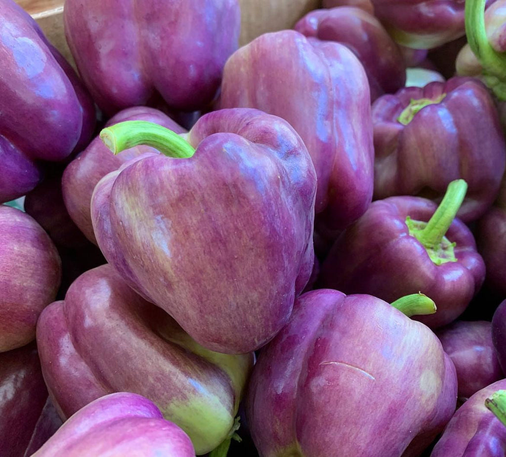 Lilac Sweet Bell Pepper Seeds