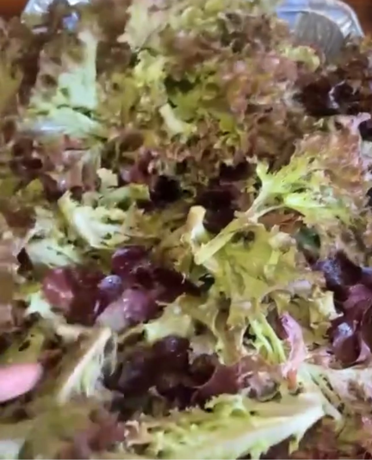 Mixed Greens - Gourmet Mixture Lettuce Heirloom Seeds