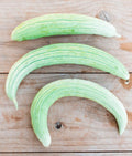 Armenian Parthenocarpic Cucumbers Seeds