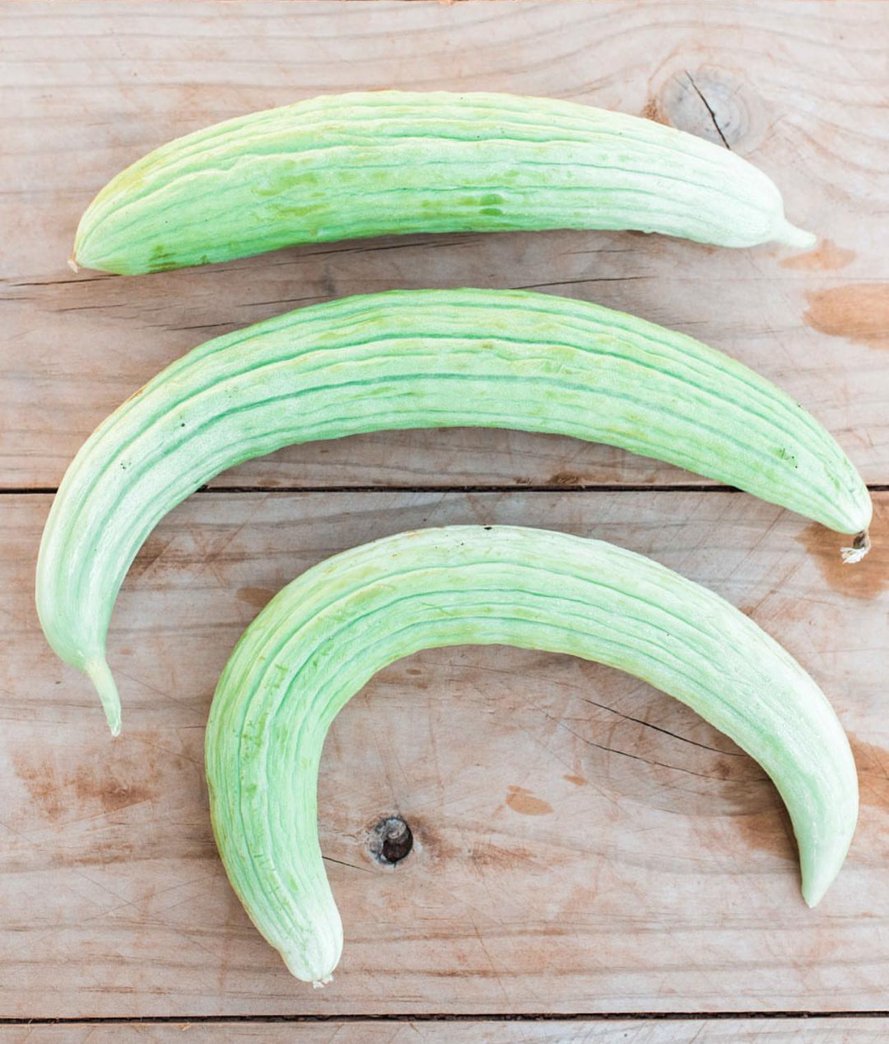 Armenian Parthenocarpic Cucumbers Seeds