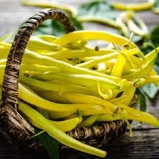 Top Notch Golden Wax Beans Seeds