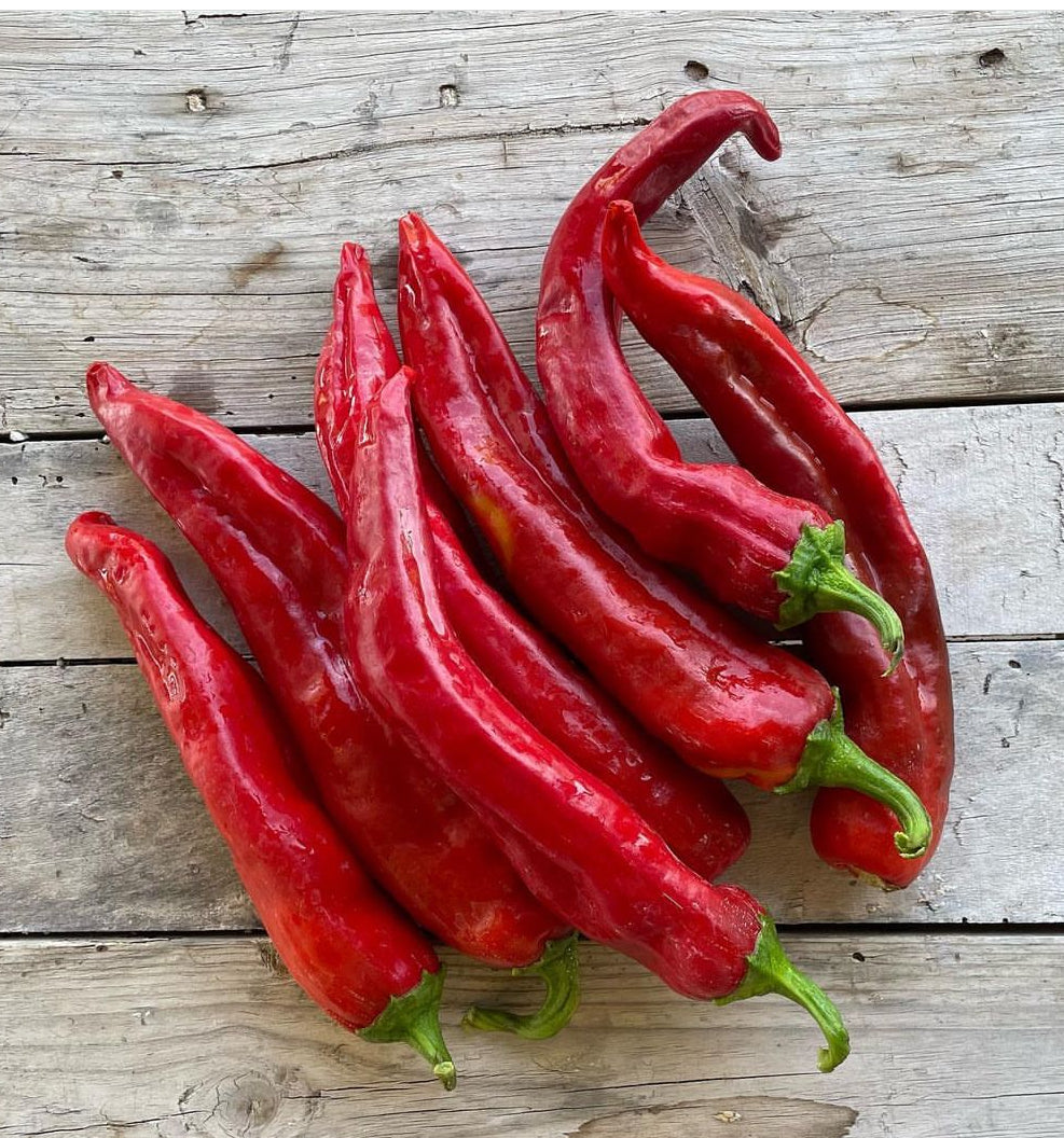 NuMex Joe E. Parker Hot (Medium) Pepper Seeds