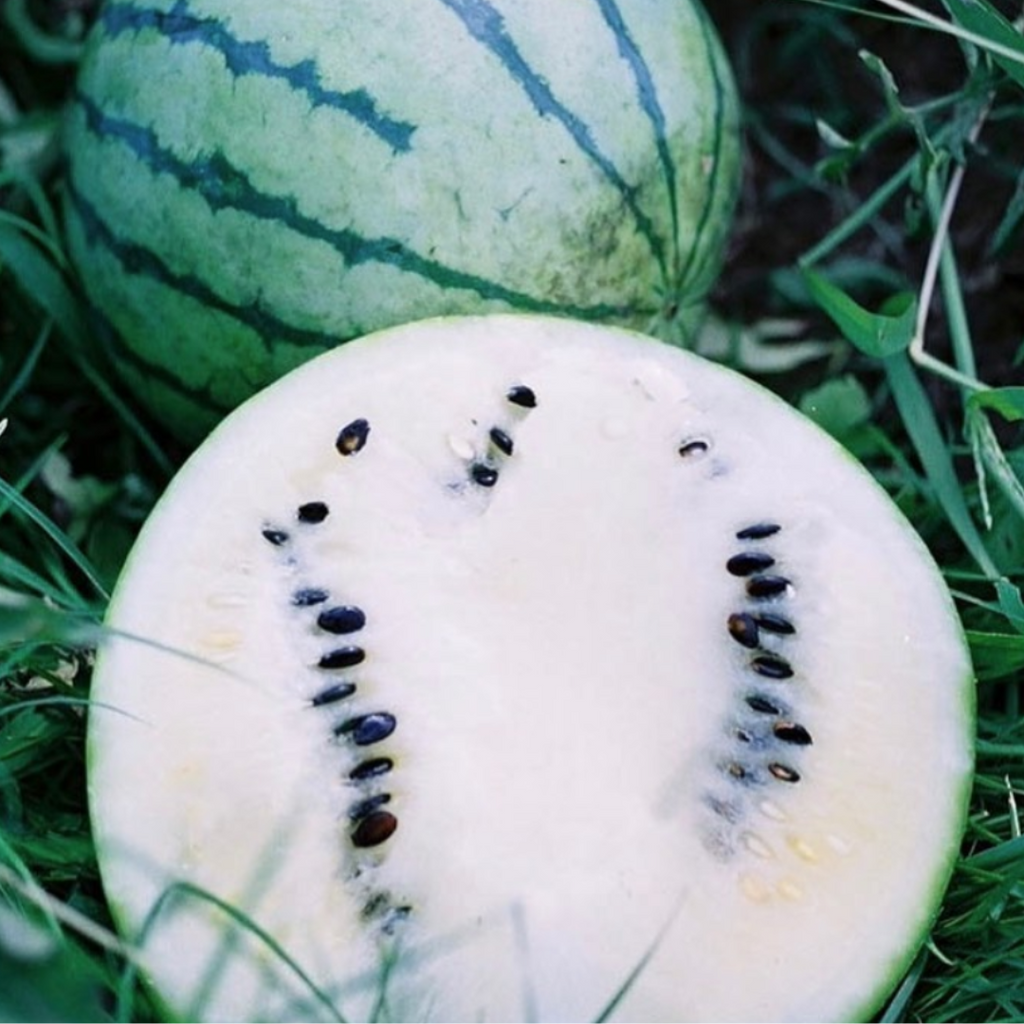 Cream of Saskatchewan Watermelon