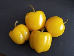 Mini Yellow Sweet Bell Pepper Heirloom Seeds