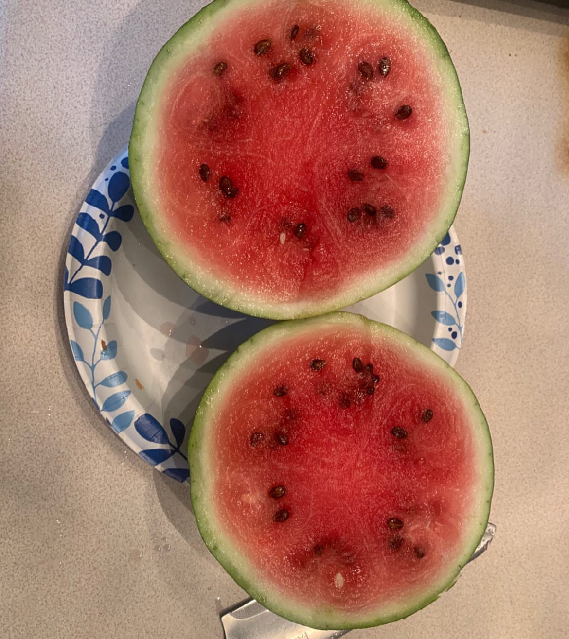 Crimson Sweet Watermelon Seeds