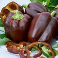 Chocolate Beauty Sweet Bell Pepper Seeds