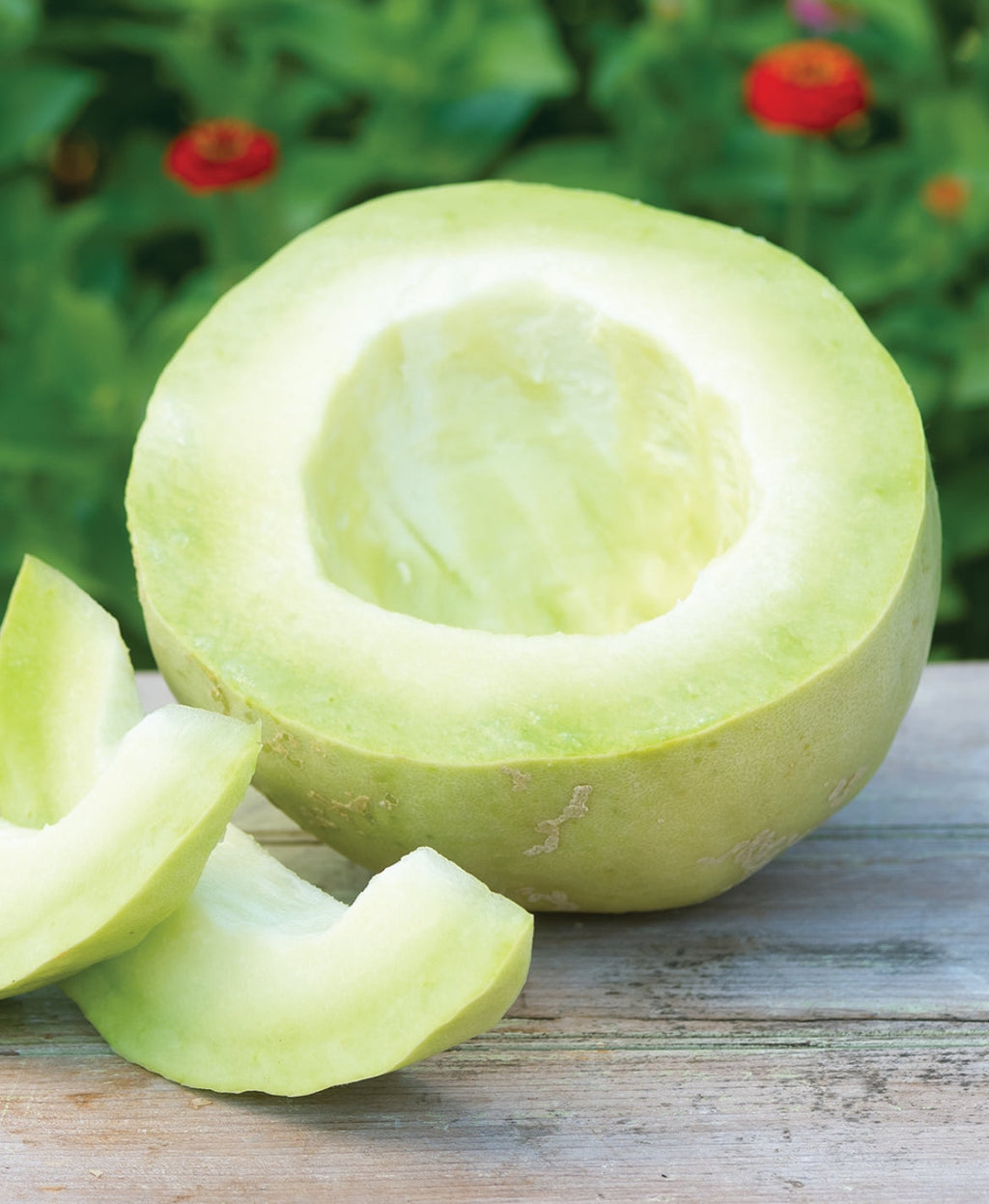 Green Flesh Honeydew Seeds