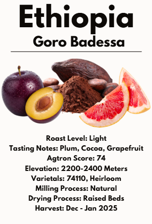 Ethiopia Goro Badessa
