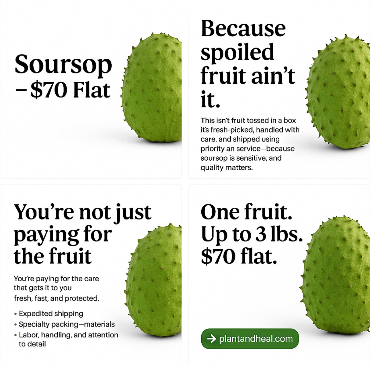 Soursop Fruit – 1 Whole Fruit no no