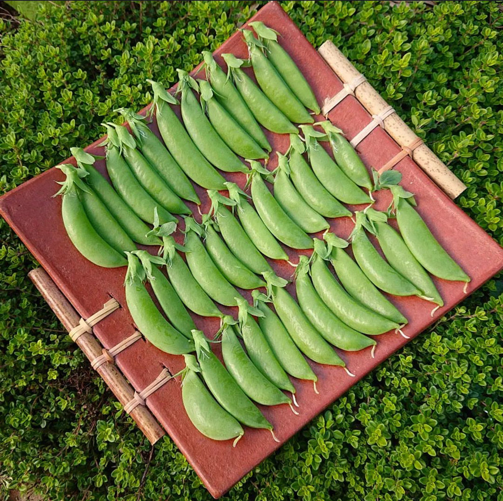 Sugar Ann Snap Peas Seeds