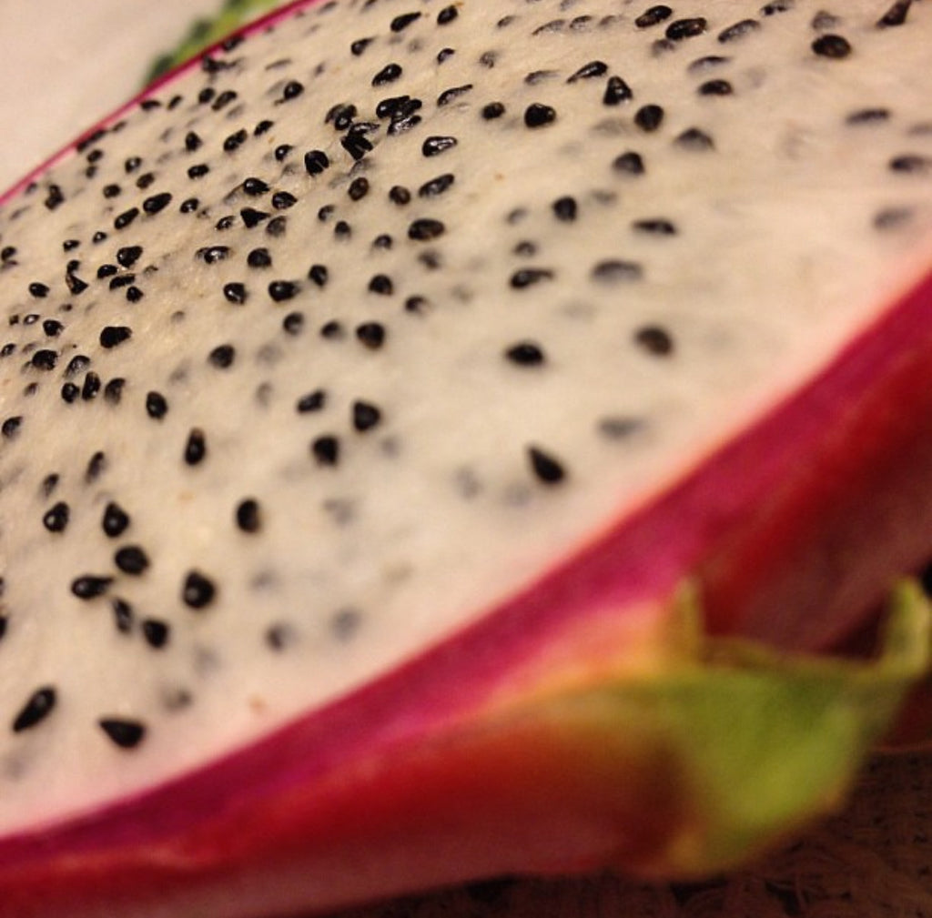 Patio Dragon Fruit - White 1-year-Old