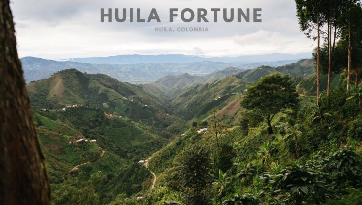 Colombia Huila Fortune