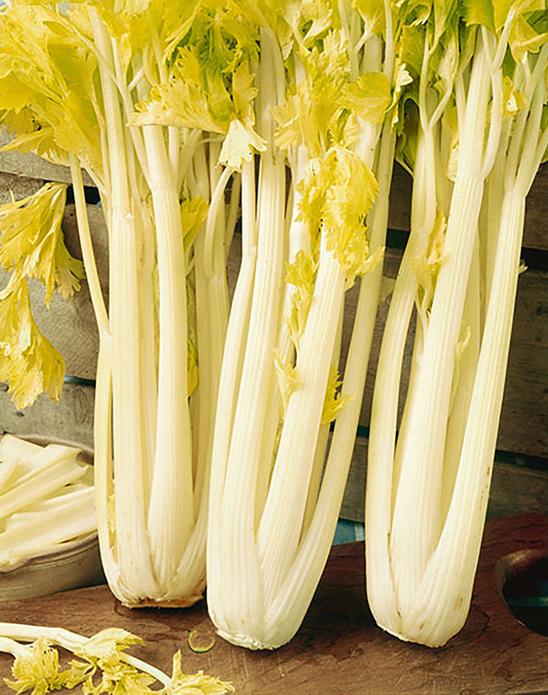 Golden Boy Celery Seeds