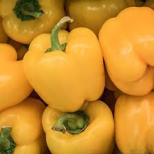 Canary Yellow Sweet Bell Pepper Seeds