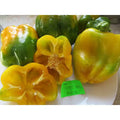 Canary Yellow Sweet Bell Pepper Seeds
