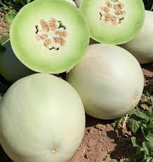 Green Flesh Honeydew Seeds