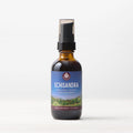 Schisandra