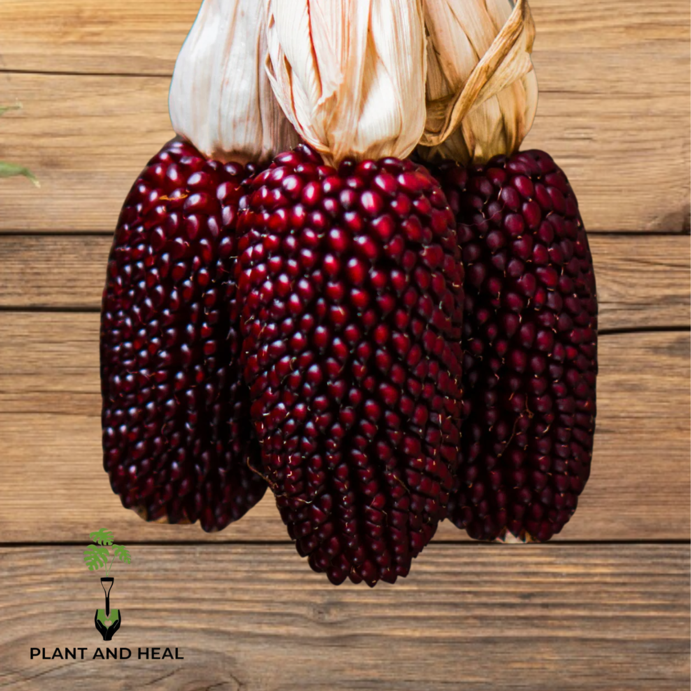 Strawberry Popcorn Seeds