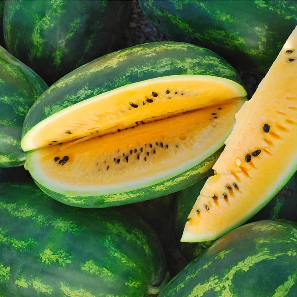 Mountain Sweet Watermelon Seeds