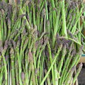 PREORDER Viking KB3 Asparagus