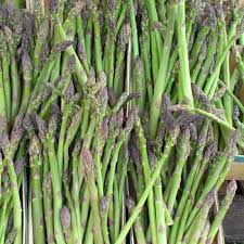 PREORDER Viking KB3 Asparagus