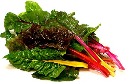 Bright Lights Organic Rainbow Swiss Chard Seeds