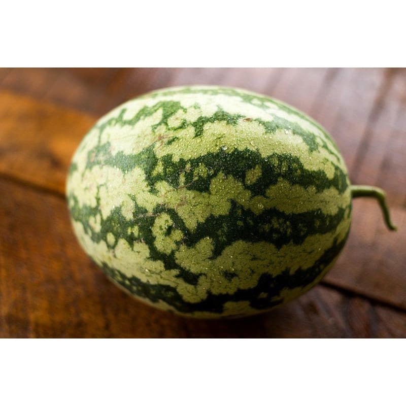 Striped Klondike Watermelon Heirloom Seeds