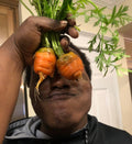 Parisienne Carrots Heirloom Organic Seeds