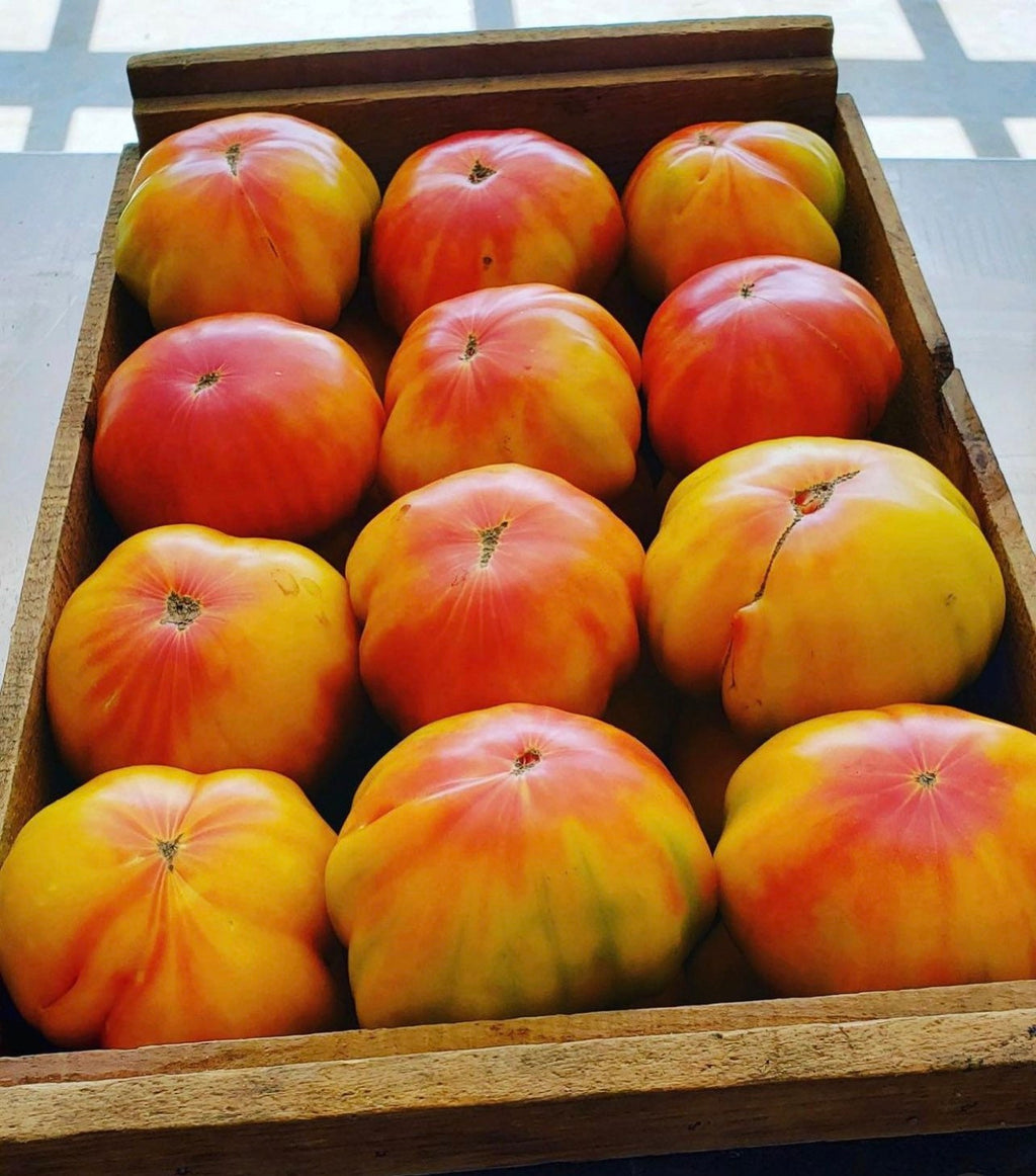 Striped German Tomato  (Organic) Heirloom Seeds
