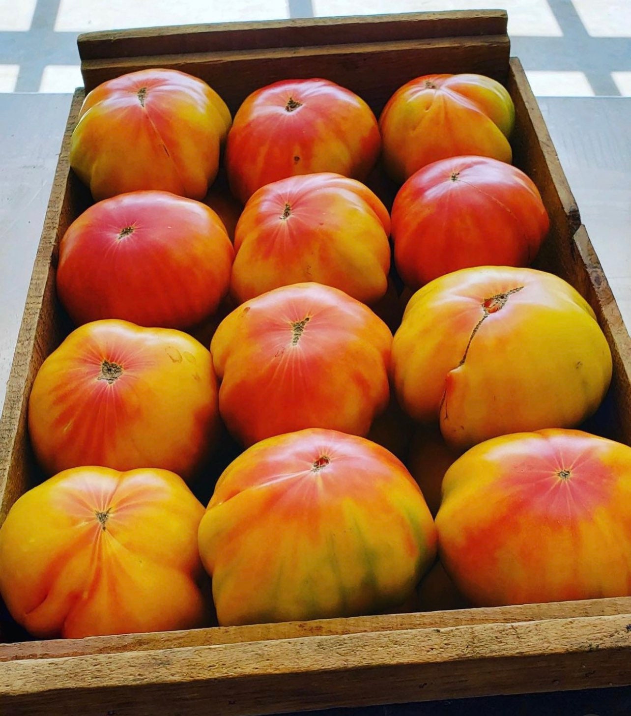 Striped German Tomato  (Organic) Heirloom Seeds