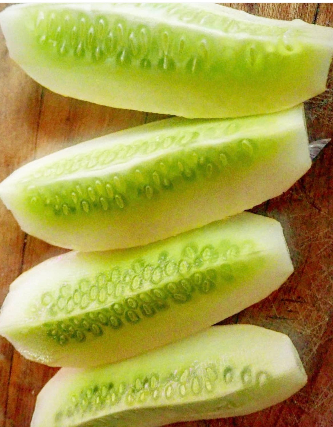 Salt and Pepper Cucumber (Organic)Heirloom Seeds