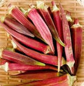 Red Burgundy Okra Heirloom Seeds