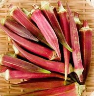 Red Burgundy Okra Heirloom Seeds