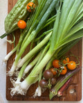 American Flag Leeks Heirloom Seeds
