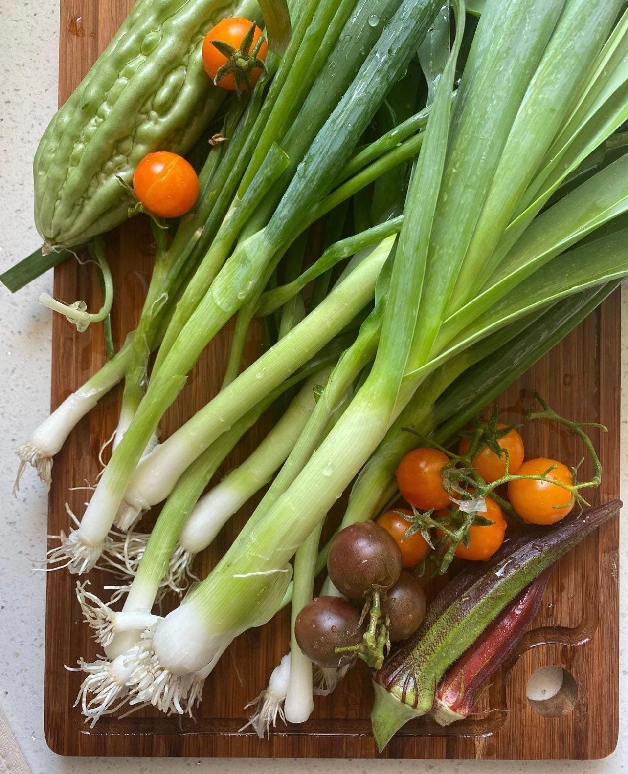 American Flag Leeks Heirloom Seeds