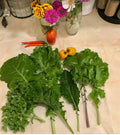 Premiere Kale Heirloom Seeds