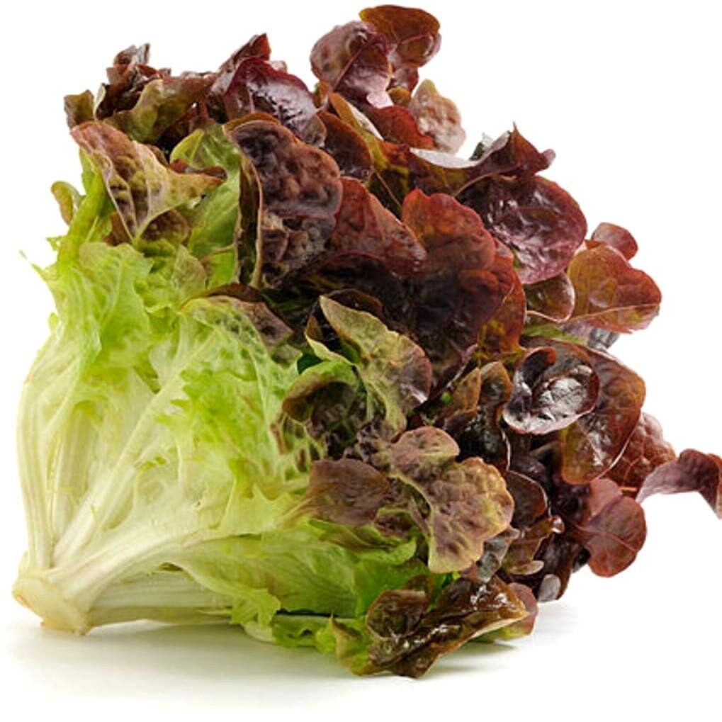 Ruby Red Leaf Lettuce Seeds