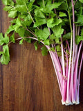 Light Green Chinese Celery Seeds