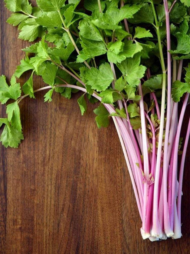 Light Green Chinese Celery Seeds