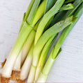 Chinese Leeks/Garlic Chives Seeds
