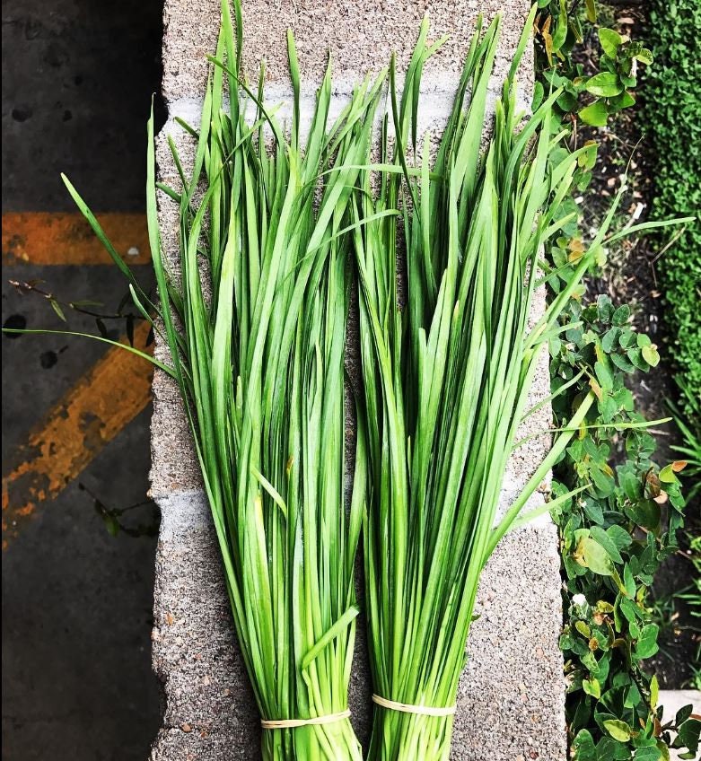 Chinese Leeks/Garlic Chives Seeds